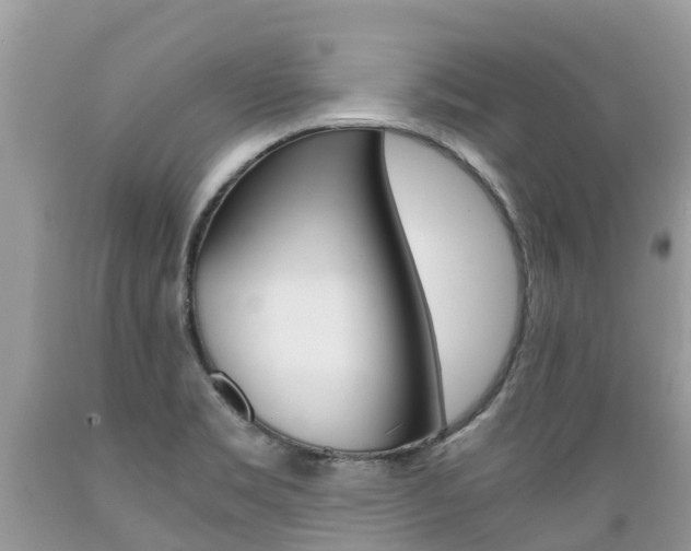 X0000089671469200706210742