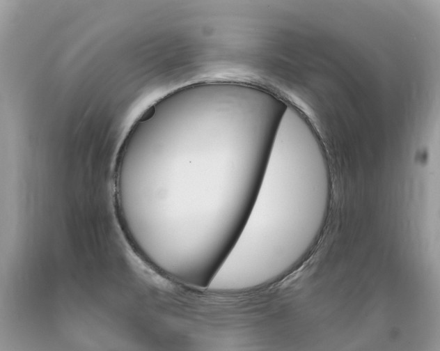 X0000089671471200706210742
