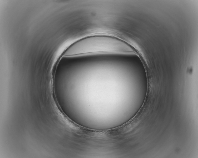 X0000089671472200706210742