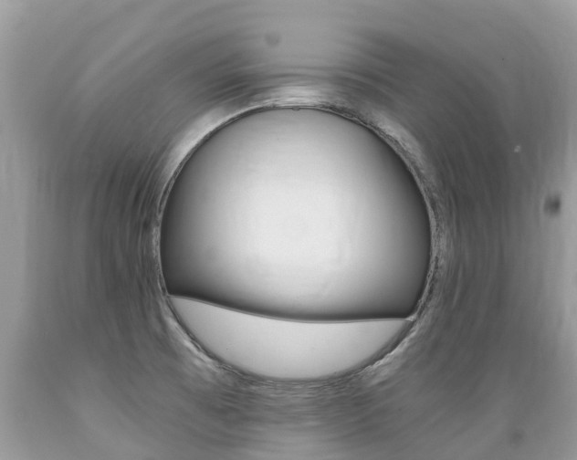 X0000089671473200706210742