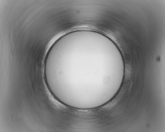 X0000089671474200706210742