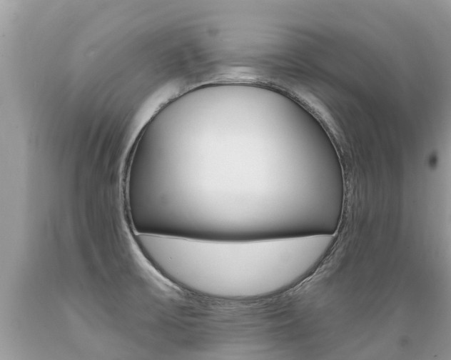 X0000089671475200706210742