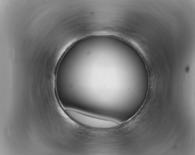 X0000089671476200706210742