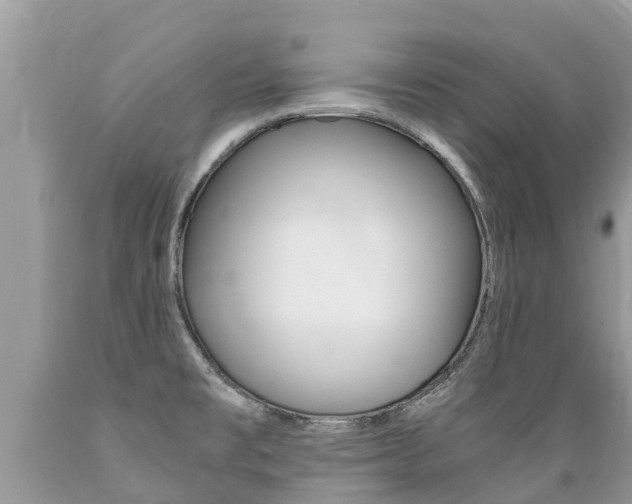 X0000089671477200706210742