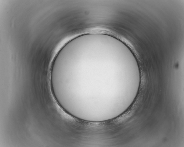 X0000089671478200706210742