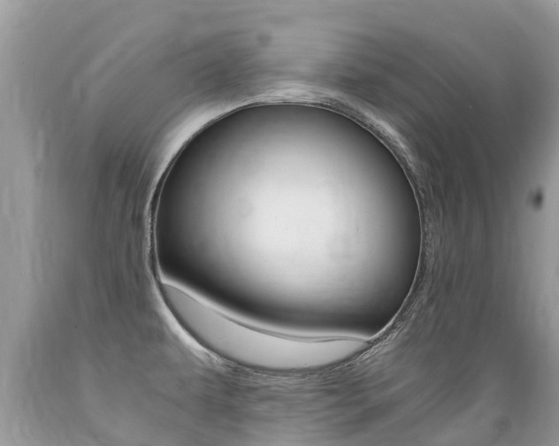 X0000089671479200706210742