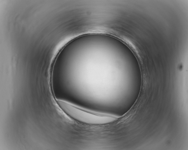 X0000089671480200706210742