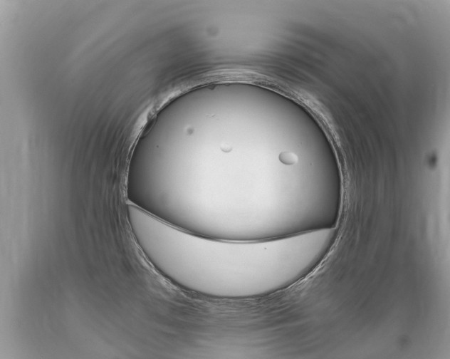X0000089671481200706210742