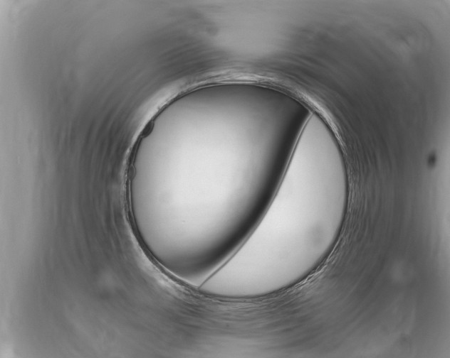 X0000089671483200706210742