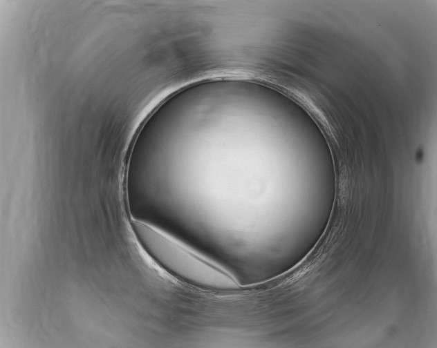 X0000089671484200706210741
