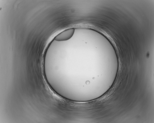 X0000089671486200706210741