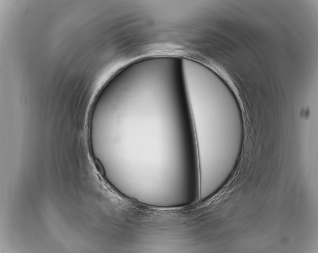 X0000089671488200706210741