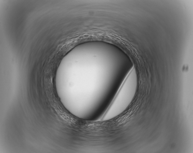 X0000089671489200706210741