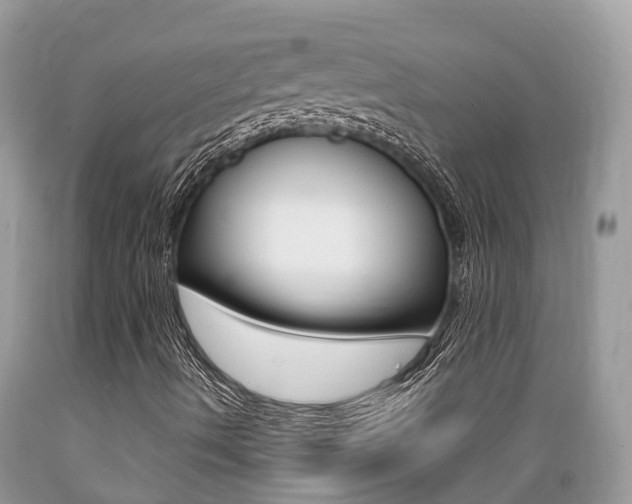 X0000089671490200706210741