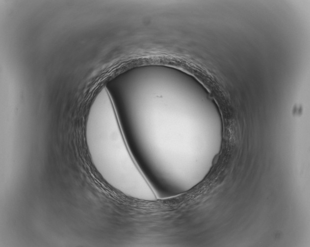 X0000089671493200706210741