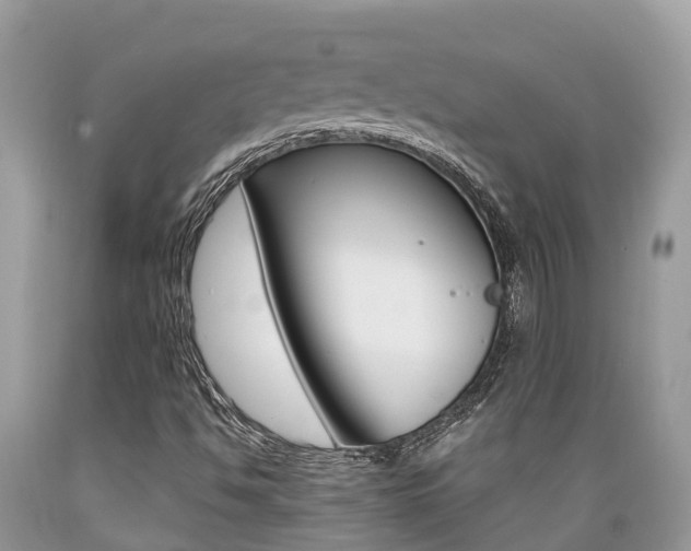 X0000089671494200706210741