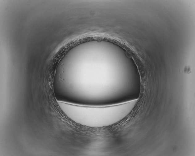 X0000089671495200706210741