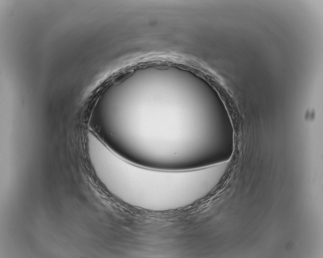 X0000089671496200706210741