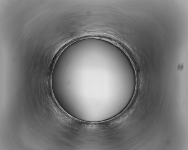 X0000089671497200706210741