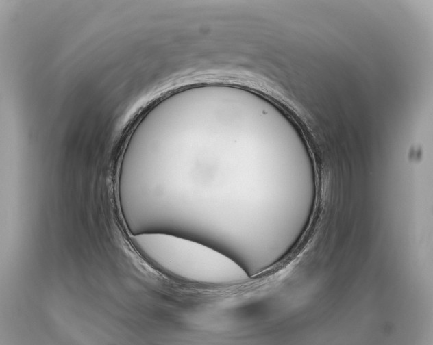 X0000089671498200706210741