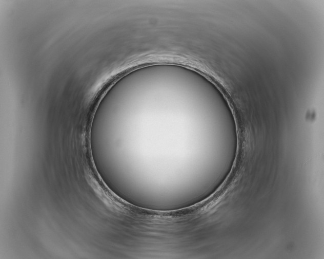 X0000089671499200706210741