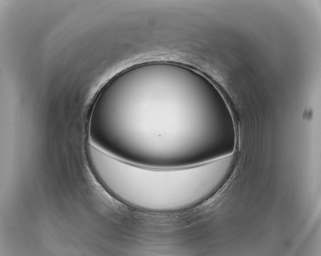 X0000089671500200706210741
