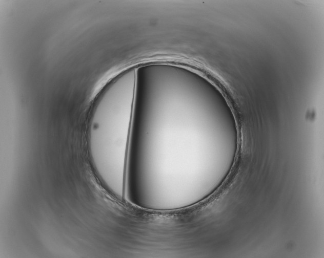 X0000089671501200706210741