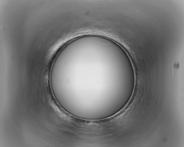 X0000089671503200706210741