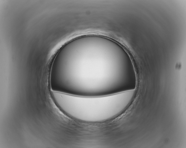 X0000089671504200706210741