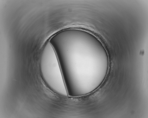 X0000089671505200706210741