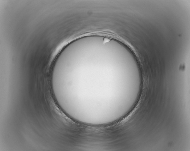 X0000089671506200706210741