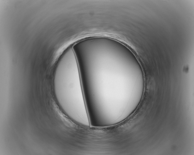 X0000089671507200706210741
