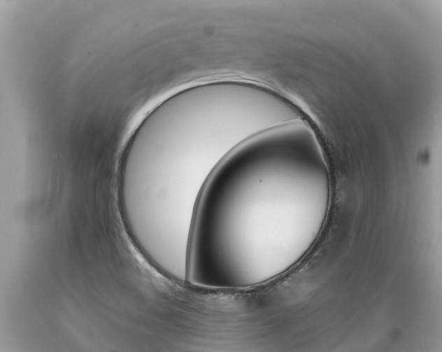 X0000089671508200706210741