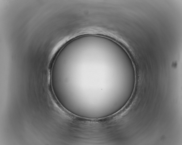 X0000089671509200706210741