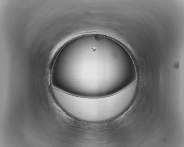 X0000089671510200706210741