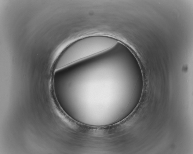 X0000089671511200706210741
