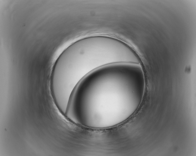 X0000089671512200706210741