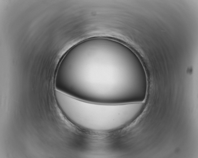 X0000089671513200706210741