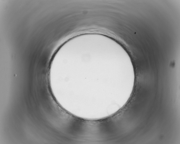 X0000089671514200706210741
