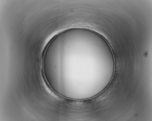 X0000089671515200706210741