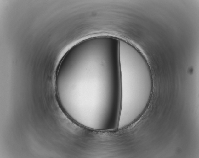 X0000089671516200706210741