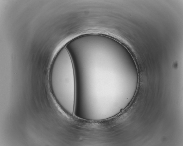 X0000089671517200706210741