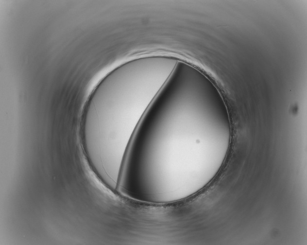 X0000089671518200706210741