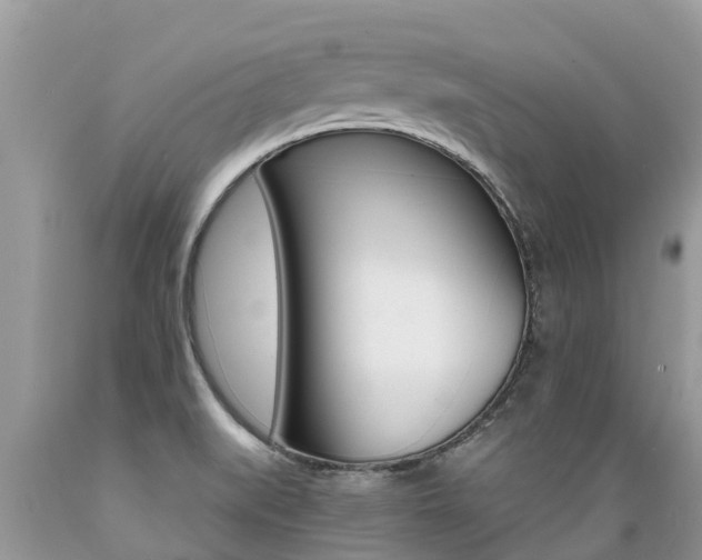 X0000089671519200706210741