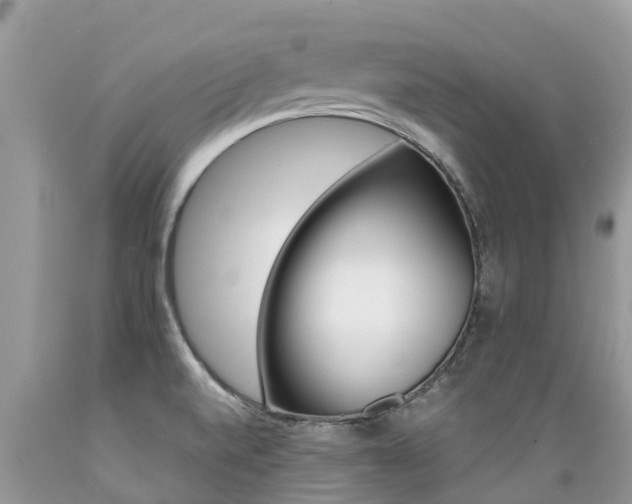 X0000089671520200706210741