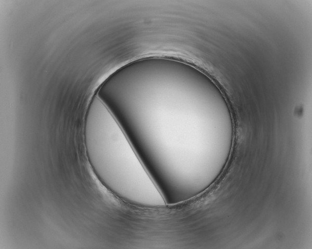 X0000089671521200706210741