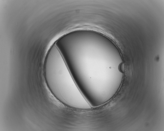 X0000089671522200706210741