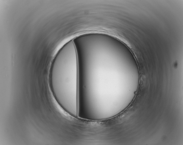 X0000089671523200706210741