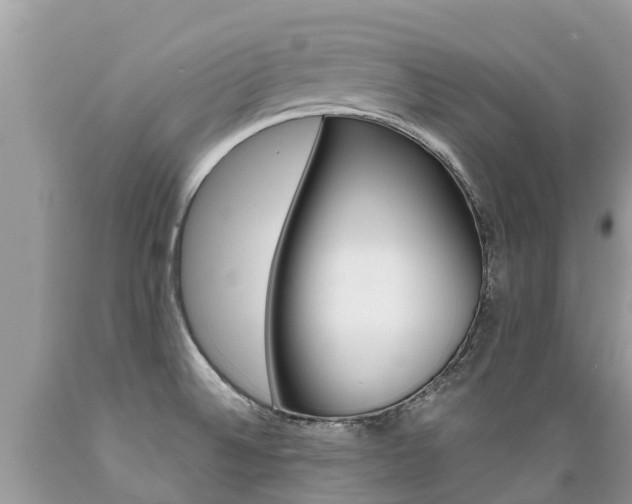 X0000089671524200706210741