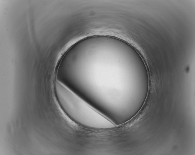 X0000089671525200706210741